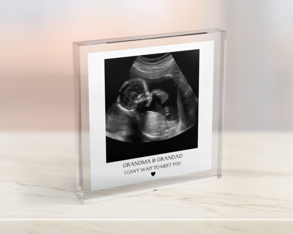 Pregnancy Reaveal Photo Block